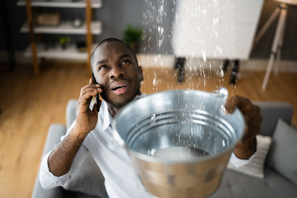 Best Ceiling water damage repair  in Cedar Hills, OR