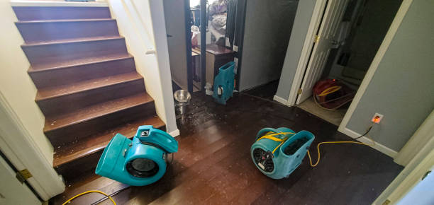 Best Water damage restoration near me  in Cedar Hills, OR