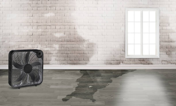 Water damage restoration mold remediation in OR