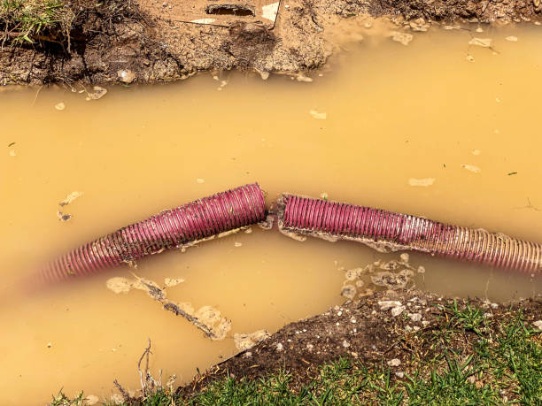 Best Water damage cleanup near me  in Cedar Hills, OR